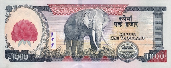 Купюра номиналом 1000 непальских рупий, обратная сторона